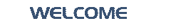 Welcome Logo
